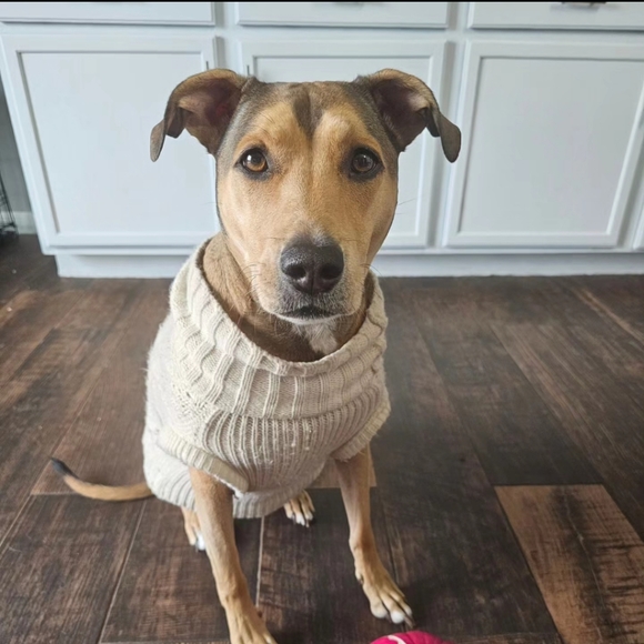 ๐ต๐LIVE LISTING ๐ต๐ - Picture 8 of 10